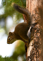 DSC_3679_edited
