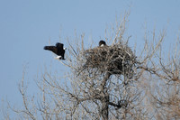 DSC_3567_edited