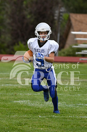 DSC_9822_edited-4x6 Vert - Luke Martin - DCA vs Lyons