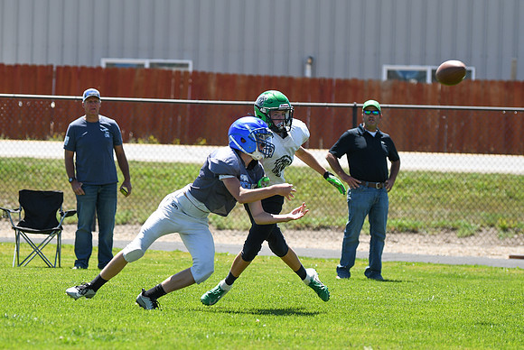 DSC_6550_edited