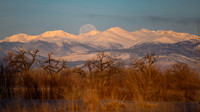 DSC_0417_edited