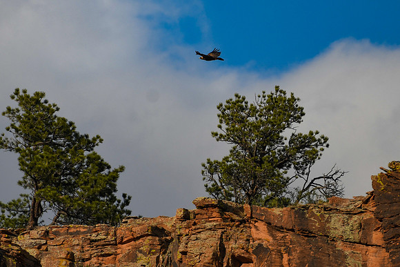 DSC_5648_edited