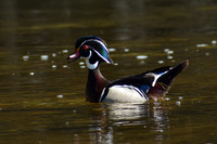 DSC_0024_edited