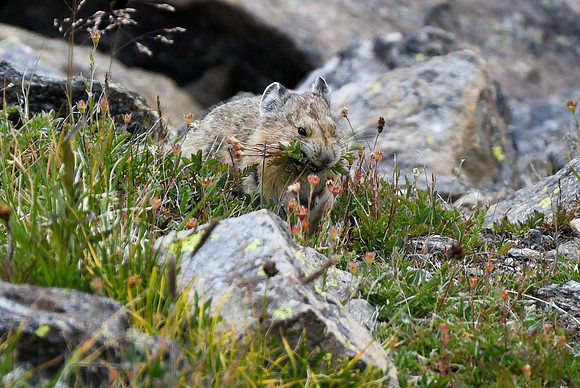 DSC_5902_edited
