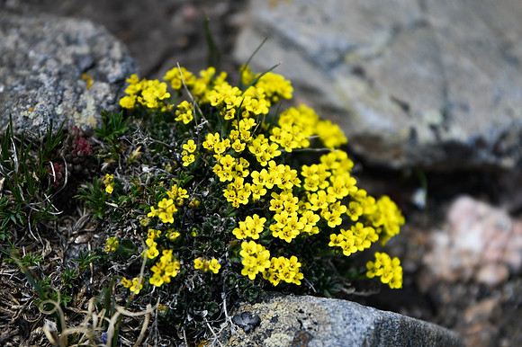 DSC_2780_edited