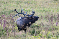DSC_4635_edited