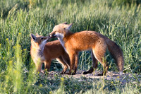 DSC_5439_edited