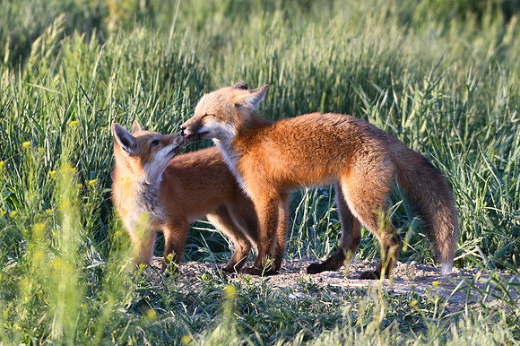 DSC_5439_edited