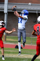 DSC_7424_edited_edited