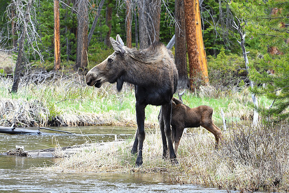 DSC_6882_edited