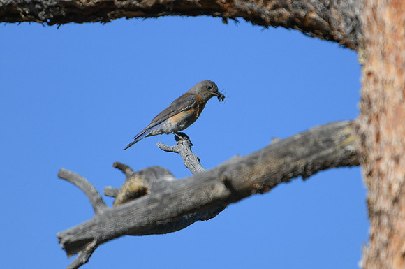 DSC_2247_edited