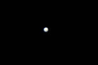 DSC_4617_edited - Venus