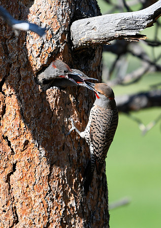 DSC_2402_edited