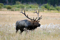 DSC_9827_edited