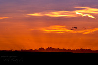 Add Watermark_2022_05_17_11_04_22 - DSC_0464_edited_edited_edited