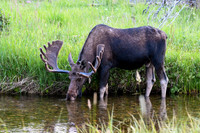 DSC_8477_edited