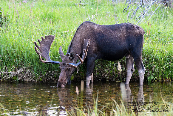 DSC_8477_edited