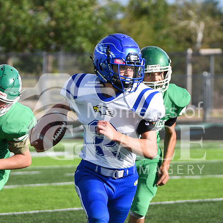 DSC_9208_edited-1