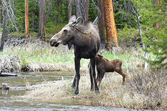 DSC_6879_edited