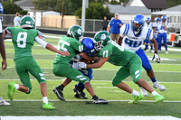 DSC_9233_edited