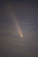 DSC_1420_edited_edited - vert 4x6