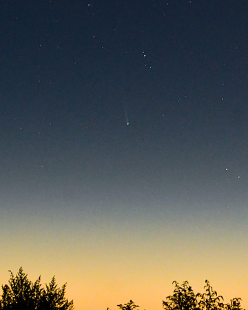 DSC_8838_edited-1 - Comet C/2023 P1 (Nishimura)