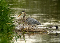 DSC_8389_edited