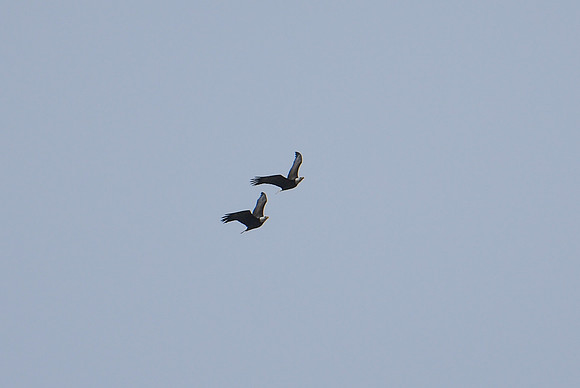 DSC_4048_edited