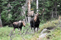 2025-08-02 - RMNP - Big Boys