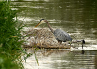 DSC_8385_edited