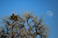 DSC_8434_edited