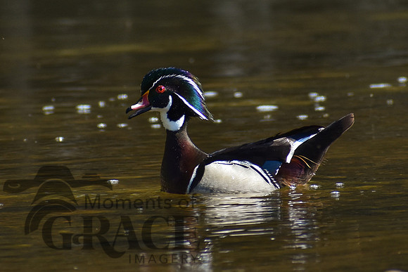 DSC_0024_edited