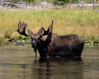 DSC_5297_edited