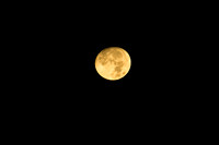 DSC_8627_edited