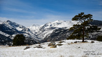 Add Watermark_2022_04_07_12_04_48_edited - DSC_0833 edited