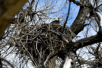 DSC_4792_edited