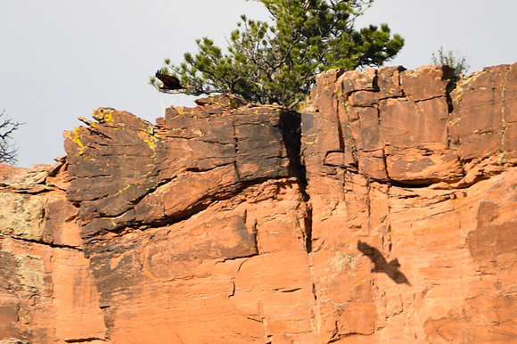 DSC_5537_edited