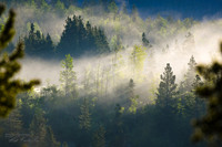 Add Watermark_2022_06_30_04_55_44_edited