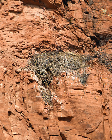 DSC_5258_edited