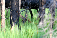 DSC_1636_edited