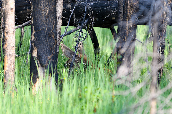 DSC_1636_edited