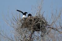 DSC_3574_edited
