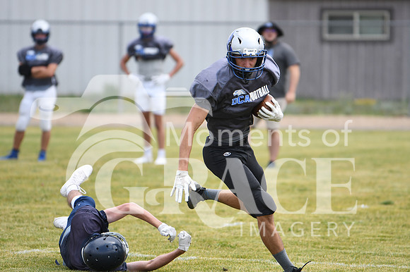 Wyatt - DSC_7838