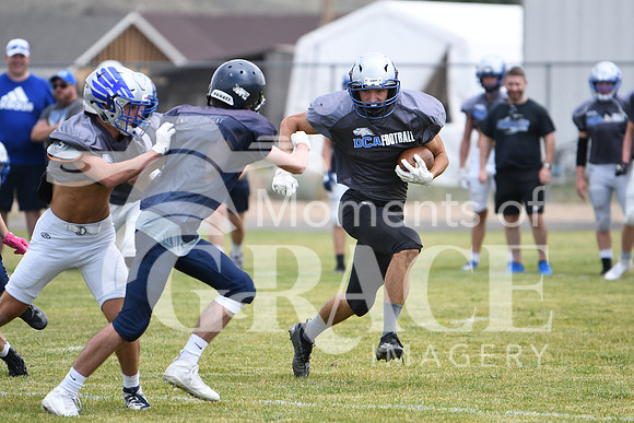 Wyatt - DSC_7836