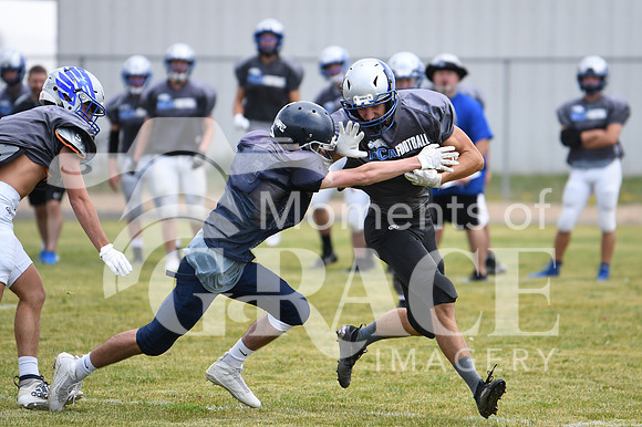 Wyatt - DSC_7837