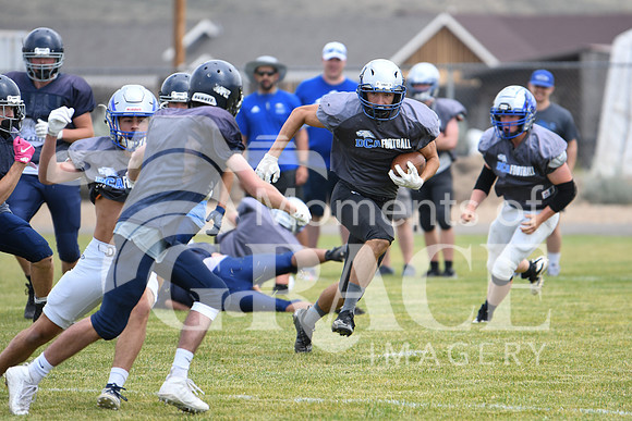 Wyatt - DSC_7835
