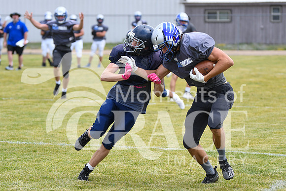 Wyatt - DSC_7840