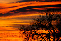 DSC_2188_edited