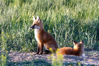 DSC_5274_edited