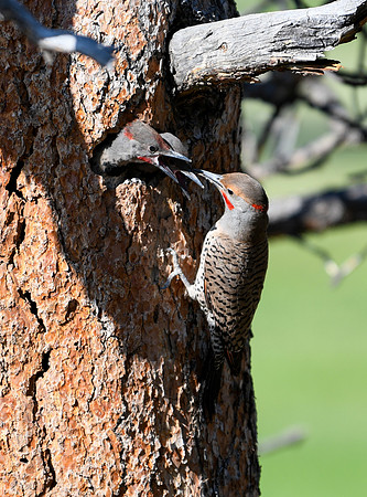 DSC_2401_edited